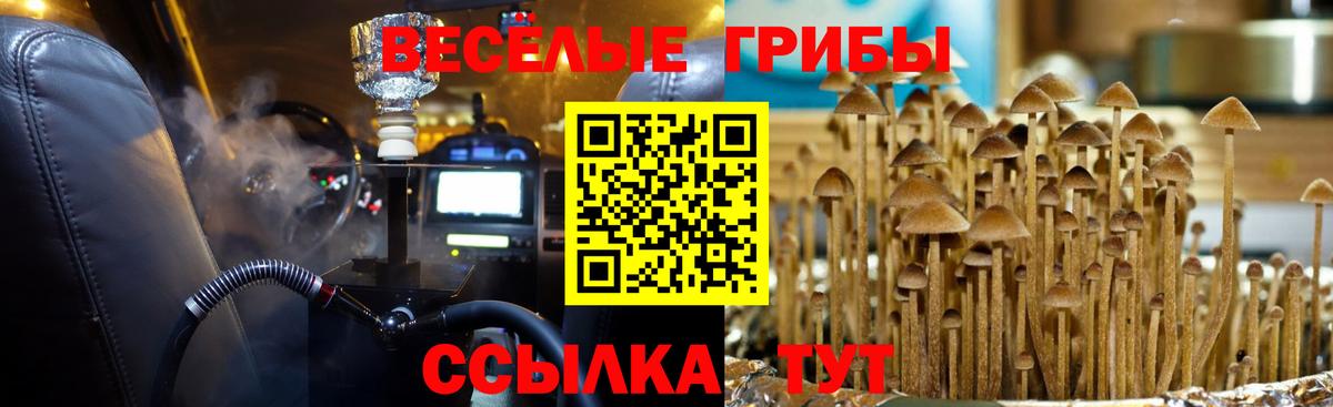 Псилоцибиновые грибы ЛСД Ишим
