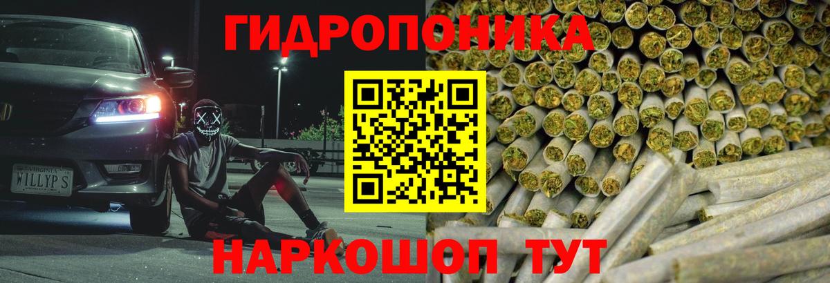 Бошки Шишки план  Конопля семена  Ишим  Вход с VPN  Канабис THC 21% 